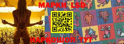 соль ск Новодвинск
