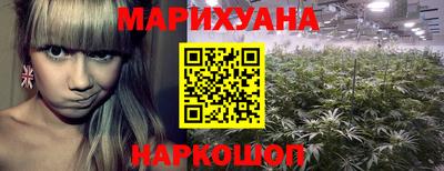 соль ск Новодвинск