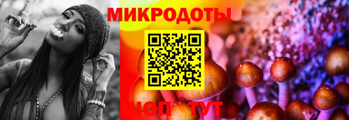 Псилоцибиновые грибы прущие грибы Свободный
